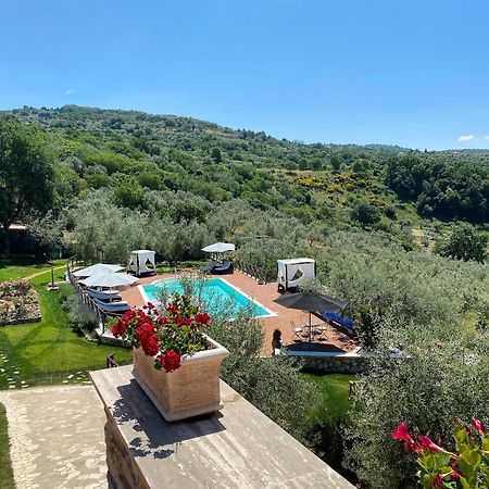 Bed and Breakfast Casale San Pietro Ананьи Экстерьер фото